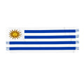 Uruguay Fan Scarf — RAYAH.club